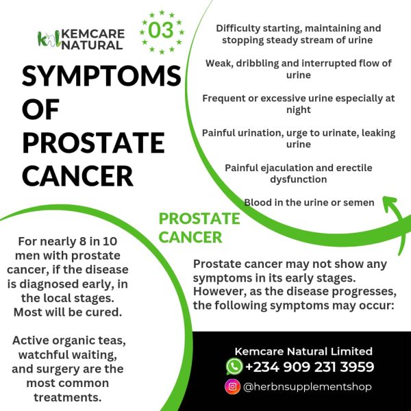 Prostate Carcinoma, The Unbelievable Turn How Paul Vanquished Cancer with Nature's Whisper and Science's Roar! Immunotherapy, Herbal Regime a life saver - Image 3