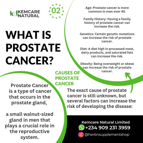 Prostate cancer 2